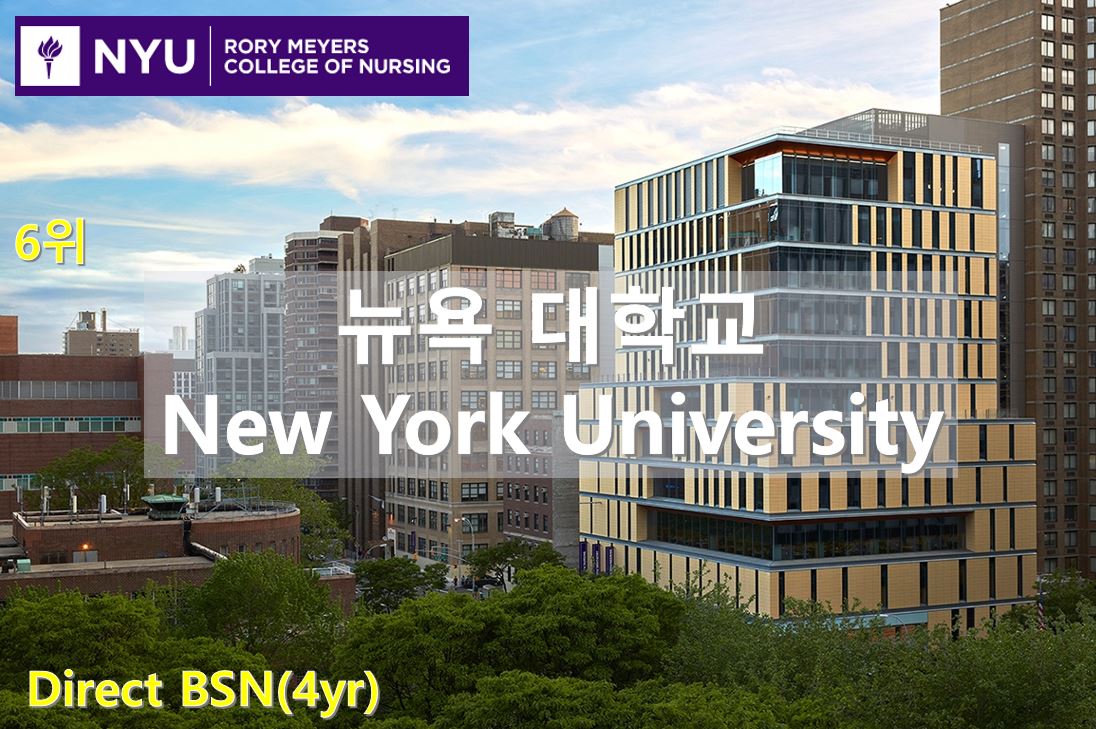 뉴욕 대학교 (NYU)